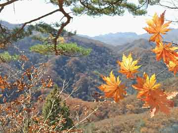 华富之声股指期货直播间2025年10月11日_恒指纳指德指投资策略，华富成长趋势今日净值